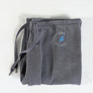 ❤️ 2010 Aerie Lounge Pants Size XS